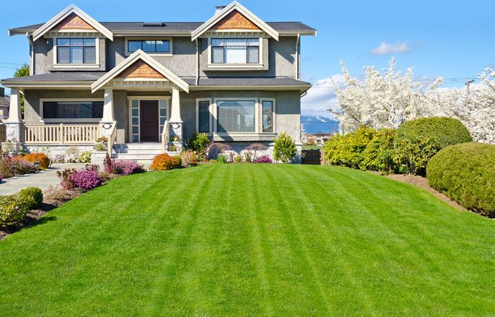 Revolution Road LAWN CARE & LANDSCAPING, grass cutting, mowing, fence, wood, landscape, sod, weed, gardening, demolition, Mississauga, Canada, Ontario, landscaping,sod Toronto, sod Brampton, sod Markham, sod pickering, sod north york, sod ajax, sod whitby, sod Oshawa, sod installation Toronto, sod installation Markham, sod installation pickering, sod installation Oshawa, sod installation brampton, sod installation north york, landscaping, blower, sod installation, sod installation, sod install, Toronto sod, north york sod, Scarborough sod, Toronto grass, grass, new grass, lawn, new lawn, garden, sod cutter, sod installers, sale, river rock, lawn care, soft scape, mulch, triple mix, gardening, tree, shrub, perennials, annuals, flowers, horticulture, soil delivery, Toronto, Markham, Pickering, north york, Durham region, york region, Oshawa, Whitby, Scarborough, Stouffville, greater Toronto area, sod installation, sodding,