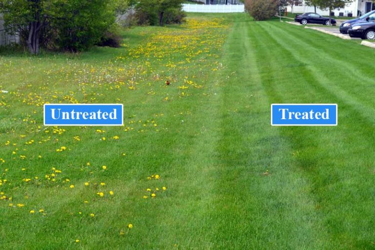 Revolution Road LAWN CARE & LANDSCAPING, grass cutting, mowing, fence, wood, landscape, sod, weed, gardening, demolition, Mississauga, Canada, Ontario, landscaping,sod Toronto, sod Brampton, sod Markham, sod pickering, sod north york, sod ajax, sod whitby, sod Oshawa, sod installation Toronto, sod installation Markham, sod installation pickering, sod installation Oshawa, sod installation brampton, sod installation north york, landscaping, blower, sod installation, sod installation, sod install, Toronto sod, north york sod, Scarborough sod, Toronto grass, grass, new grass, lawn, new lawn, garden, sod cutter, sod installers, sale, river rock, lawn care, soft scape, mulch, triple mix, gardening, tree, shrub, perennials, annuals, flowers, horticulture, soil delivery, Toronto, Markham, Pickering, north york, Durham region, york region, Oshawa, Whitby, Scarborough, Stouffville, greater Toronto area, sod installation, sodding,