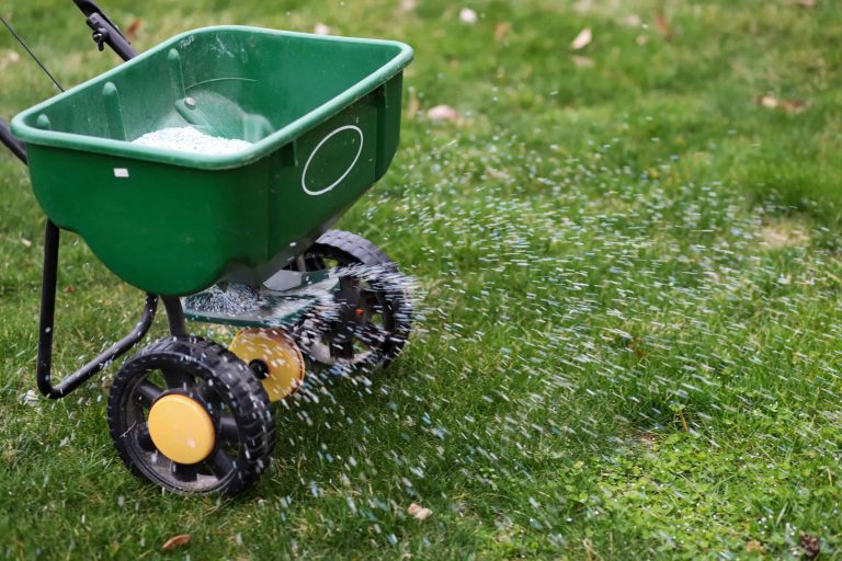 Lawn Fertilization